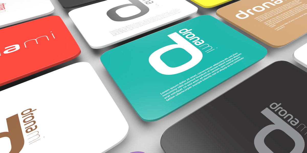 Dronami Brand Identity: Drone's Related Project